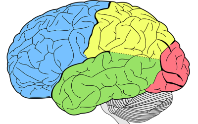 Politics, Psychiatry & Trauma